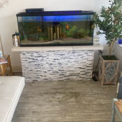 Fish Tank With Fish And Custom Base 