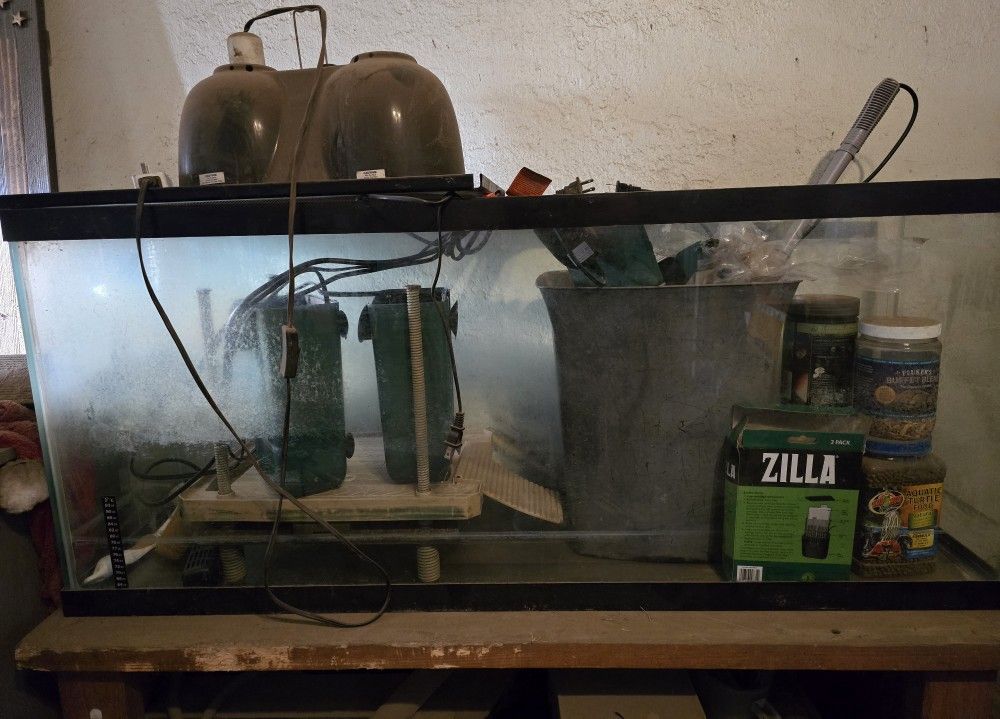 Aquatic Turtle Tank Set-up