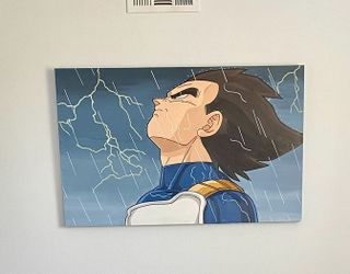 Custom Hand Painted Vegeta DBZ Art