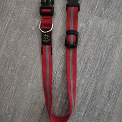 #Dog #Collar #Nite COLLAR