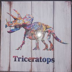 Framed Dinosaur Illustrations  10x10