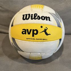 Wilson AVP Official Game Ball