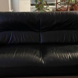 Black Sofa