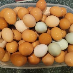 Farm Fresh EGGS
