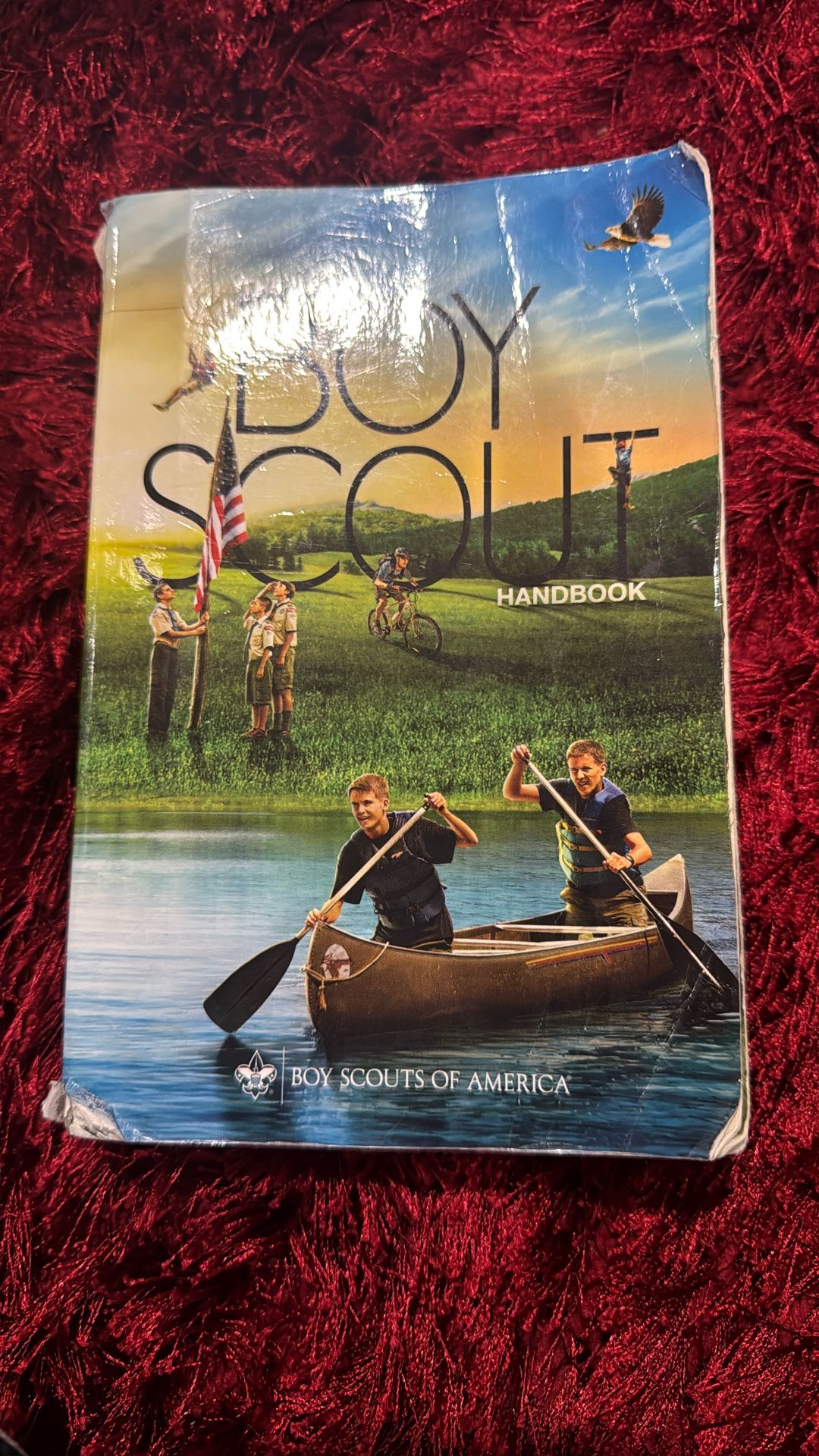 Boy Scout Book