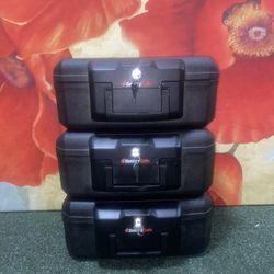 Sentry Safes LOT