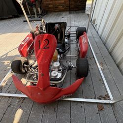 Racing go kart Briggs and Stratton L206 engine  