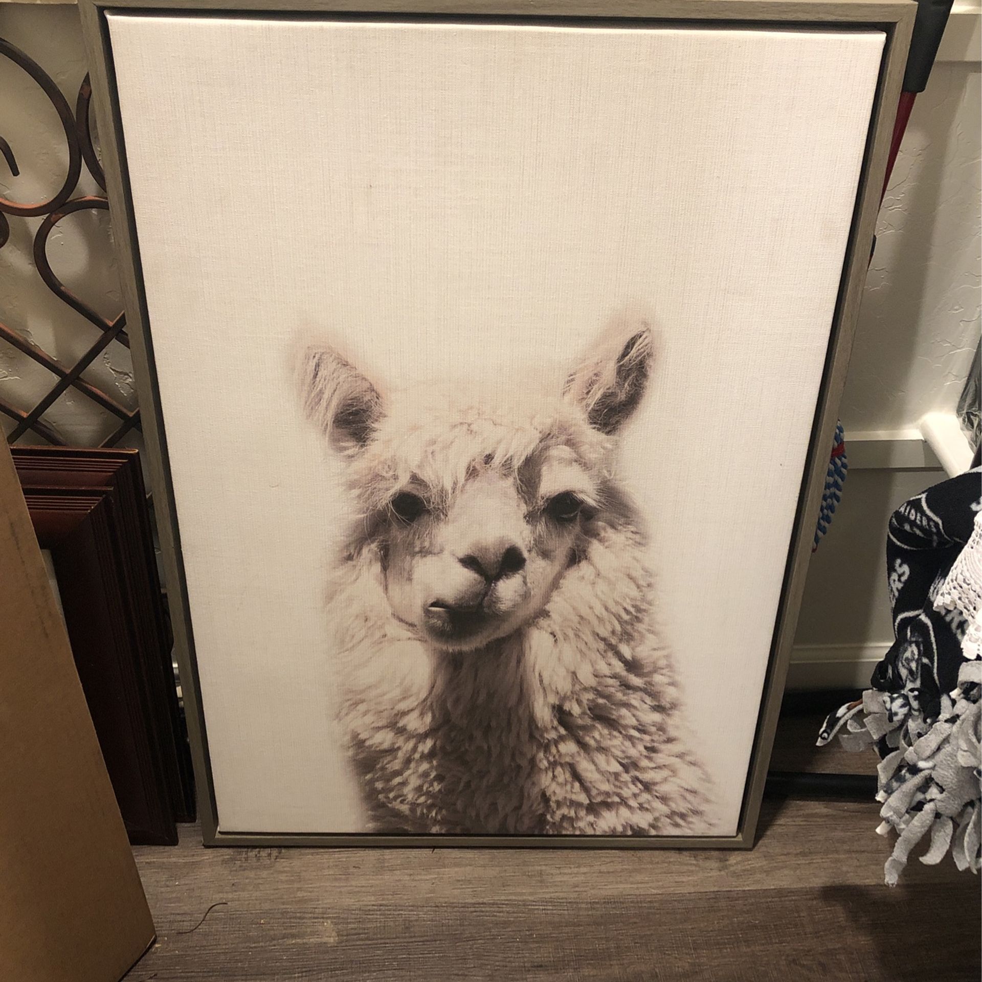 Llama Large Frame