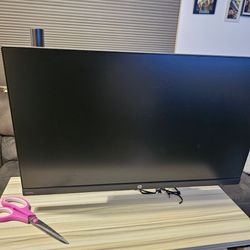 24 inch HP 1080p monitor
