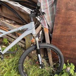 Giant Ranier Mountain Bike