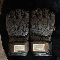 Martial Arts Gloves