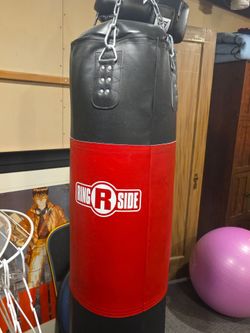 Punching bag and gloves
