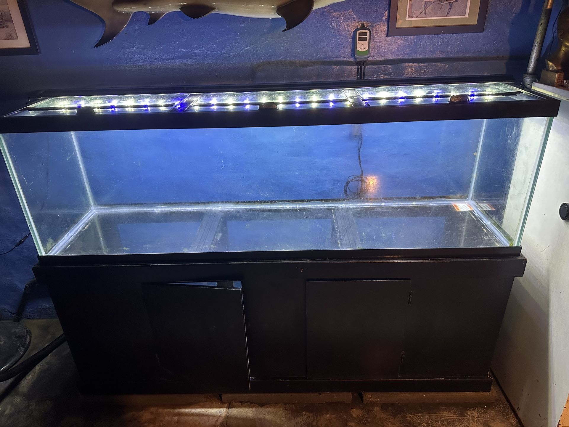 Reef Saltwater Fish Tank Aquarium
