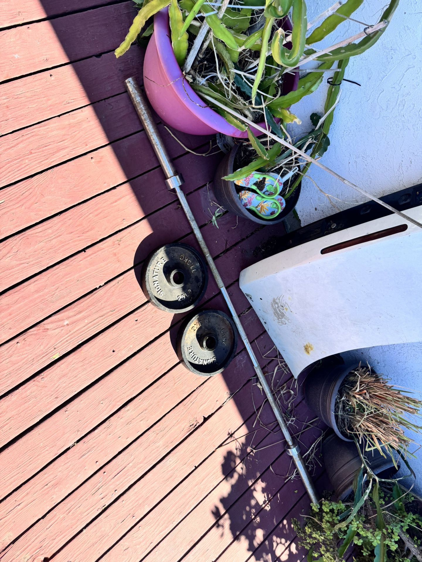 Olympic Bench Press Bar W/ (2) 25lb Weights