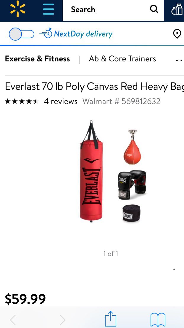 Everlast punching bags