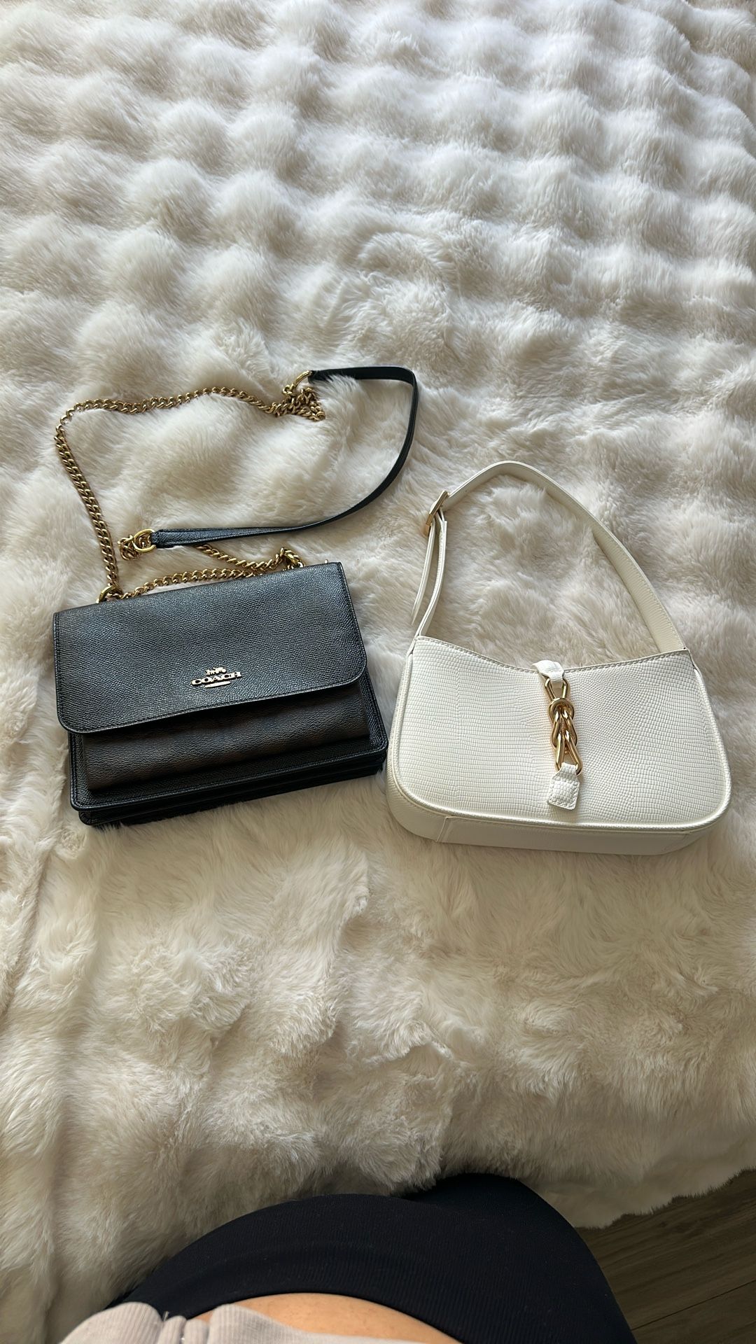 Coach Bag And Aldo Bag