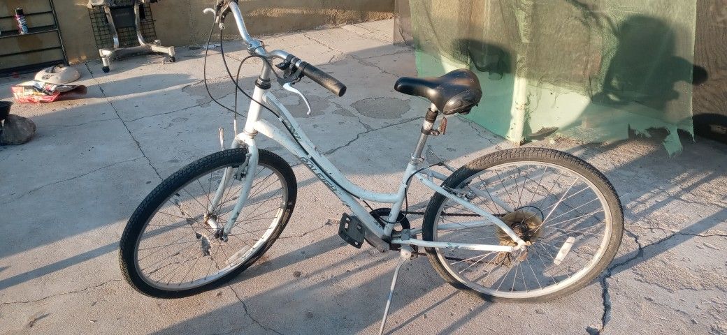 Ventura Series Raleigh Bike