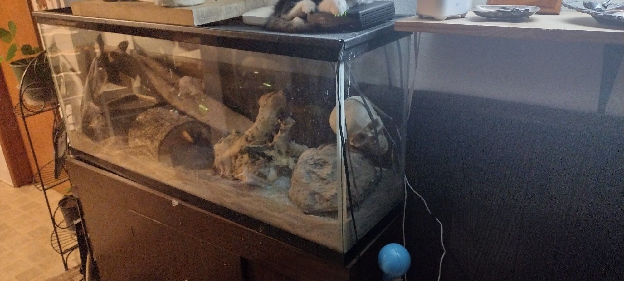 Reptile Tank/Fish Tank