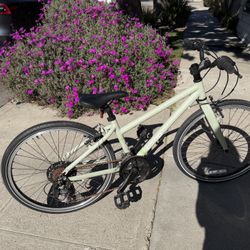 REI Co-op REV CTY 24” Kids bike