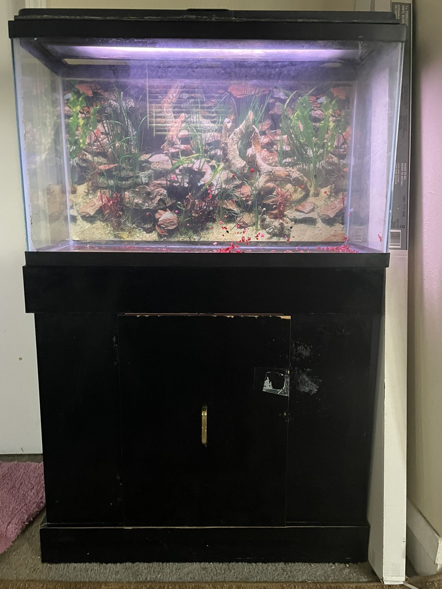 30 Gal Aquarium And Stand With Light However No Filter Or Heater  $75.00