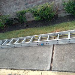 24 Ft Ladder 