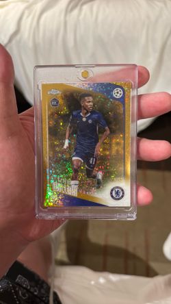 Estavo Willian/50