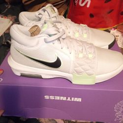 LeBron James Nike Size 12 Men