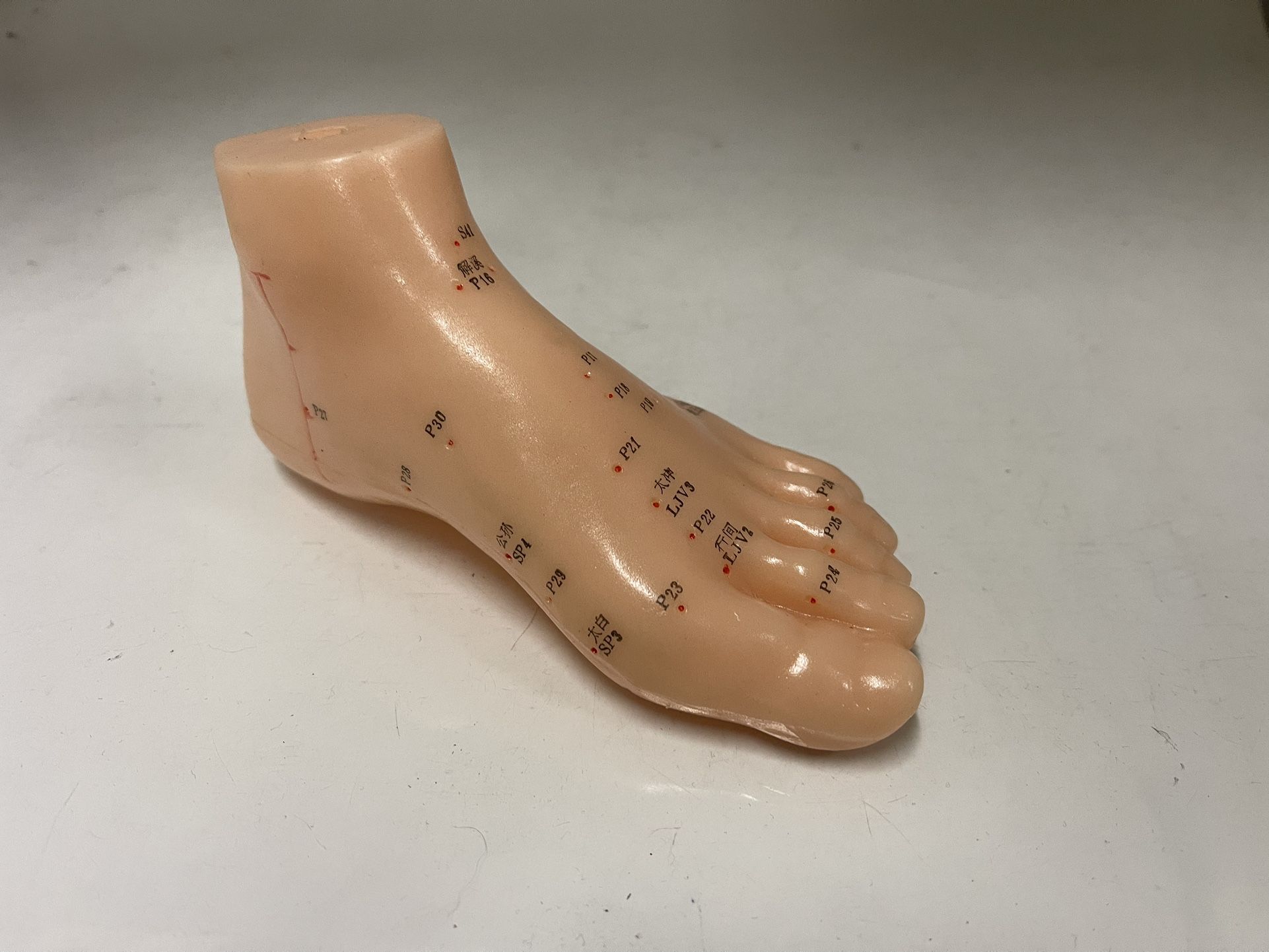 Acupuncture Foot Model (6” X 3” X 3”)
