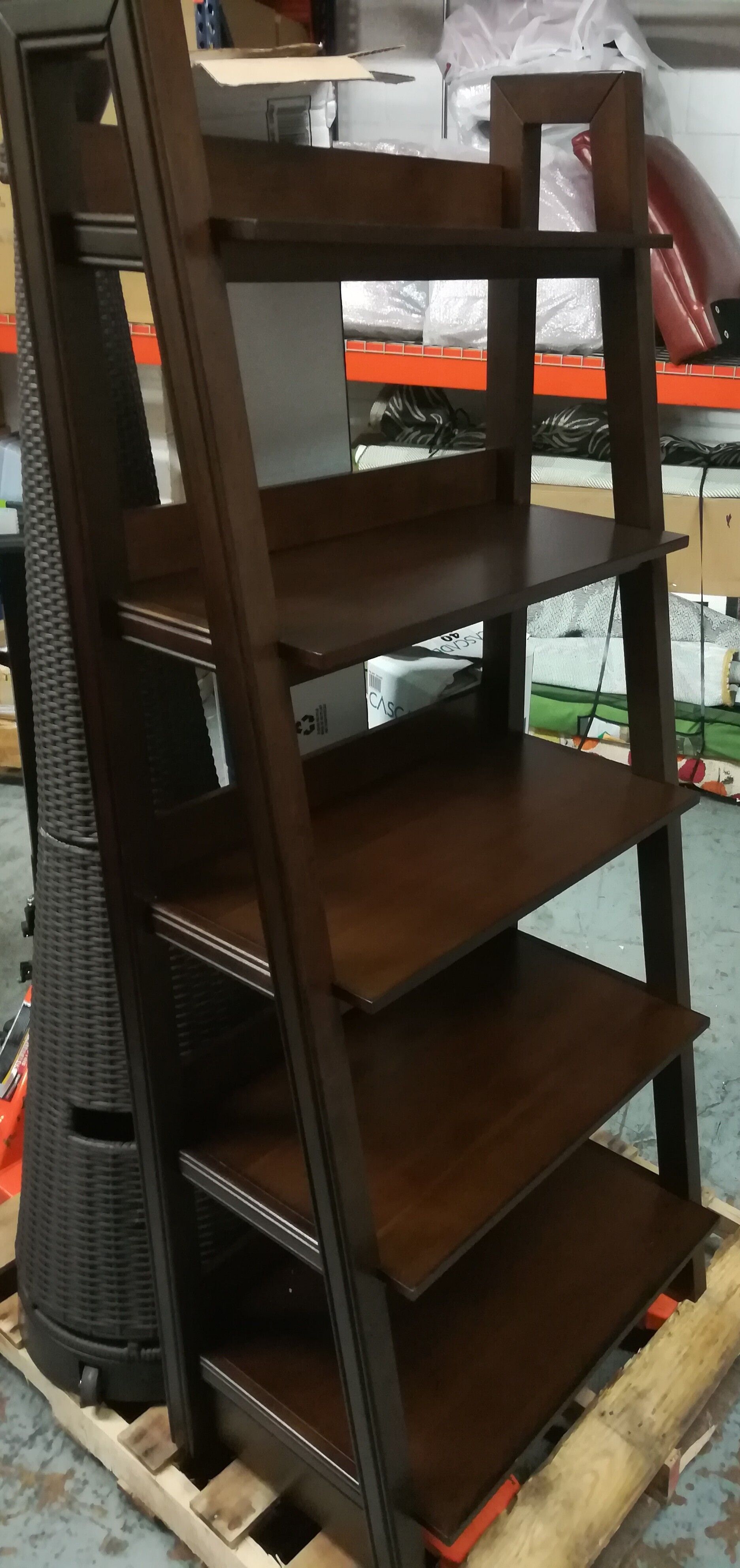 72" Ladder Bookshelf from Costco