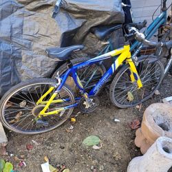 Bikes For Sale