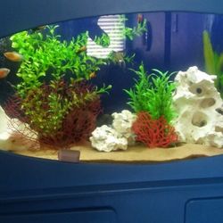 55 Gallon Aquarium Tank And Stand