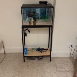 10  Gallon Fish Tank With Stand