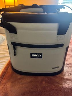 Igloo Cooler
