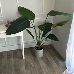 Faux plant from Hobby Lobby