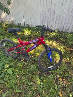 Boys Mountain Bike (Pacific Evolution)