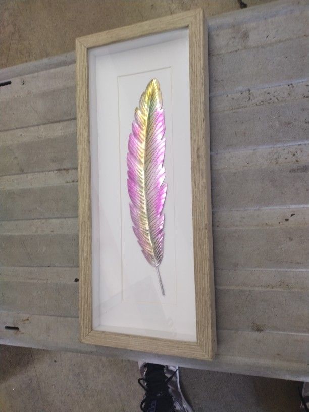Framed Rainbow Colored Feather Picture