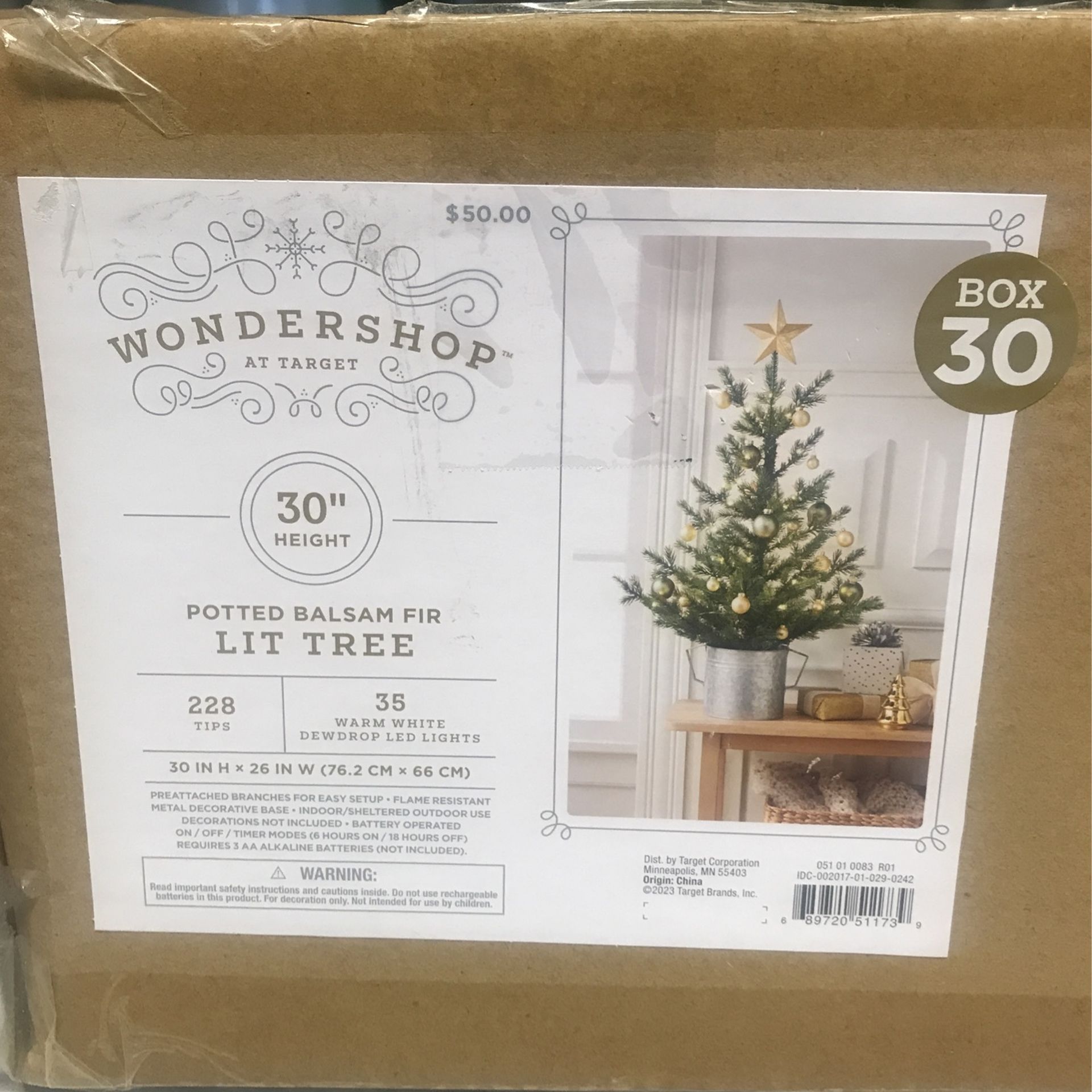 Potted Balsam Fir Lit Tree