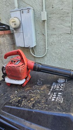 Homelite gas blower