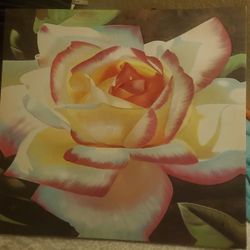 Giant Rose Painting