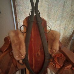 Horse Harness