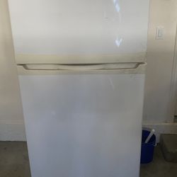 Refrigerator for the Garage 