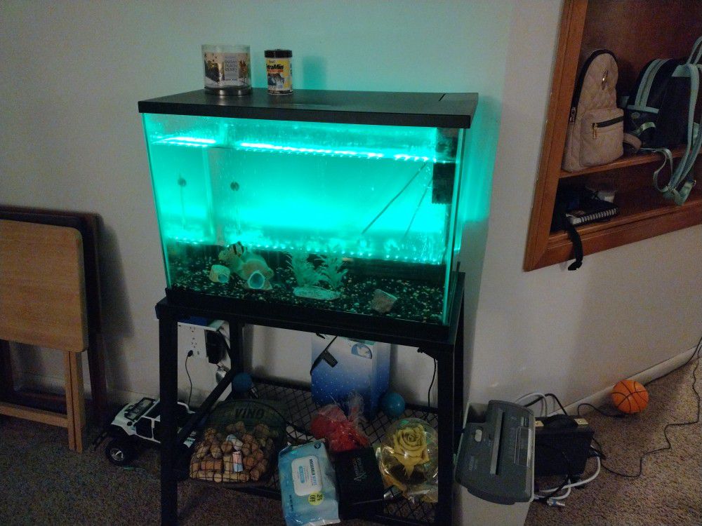 Fish Tank Everything Included 