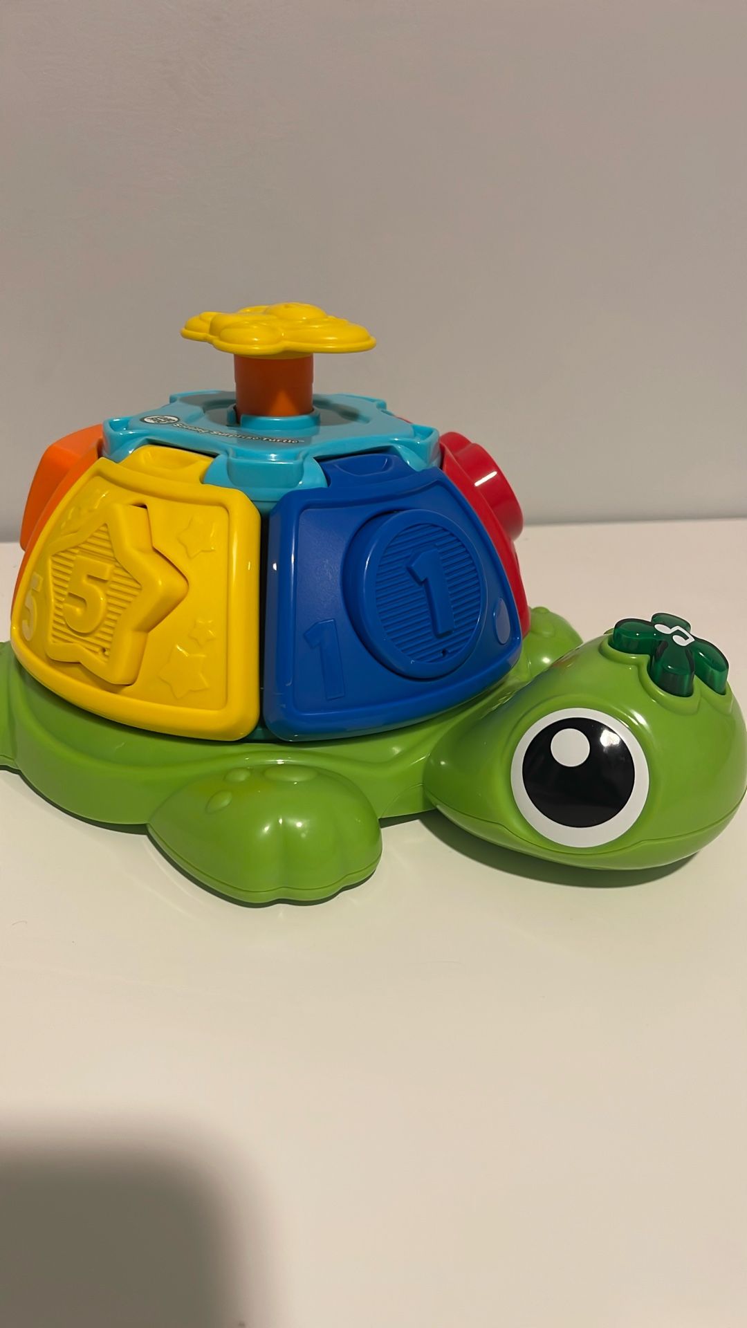 Leap Frog Sorting Turtle 