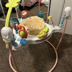 Baby Bouncer