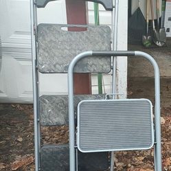 Step Ladders $20