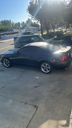 2002 Mustang blue