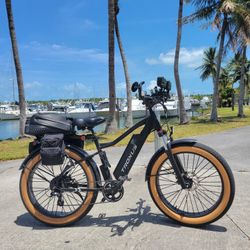 Fat Tire Electric Bike With Extra Battery