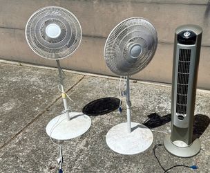 Fans