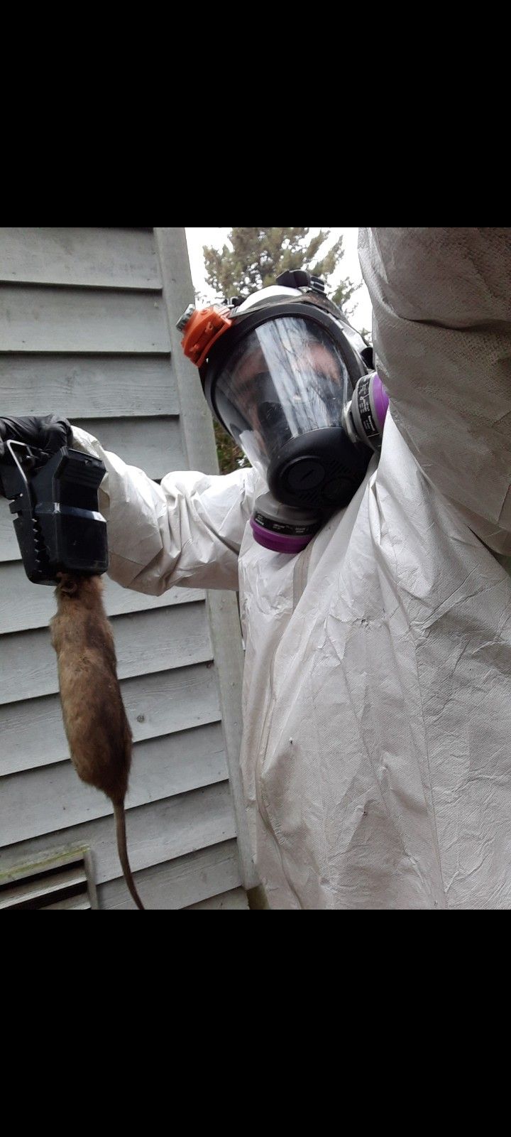 INSULATION REMOVALS