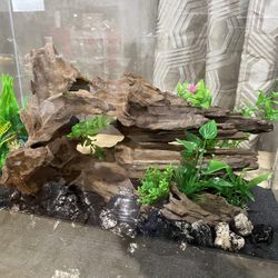 Driftwood / Aquarium Décor / Terrarium / Reptile Tank / Aquascaping / Planted Aquarium/Home & Office